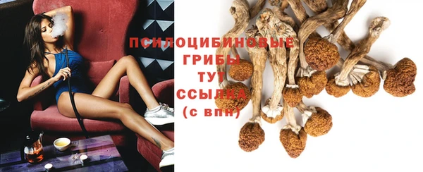 тгк Волоколамск