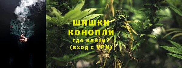 МДПВ Володарск