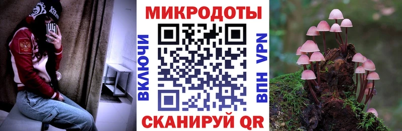 Галлюциногенные грибы Psilocybe гидра зеркало Назарово