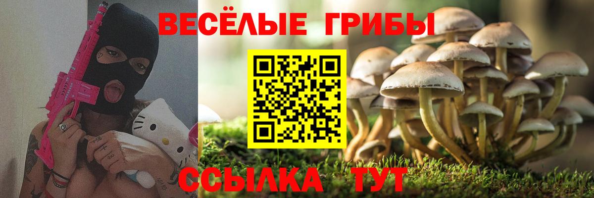 Псилоцибиновые грибы MAGIC MUSHROOMS Назарово